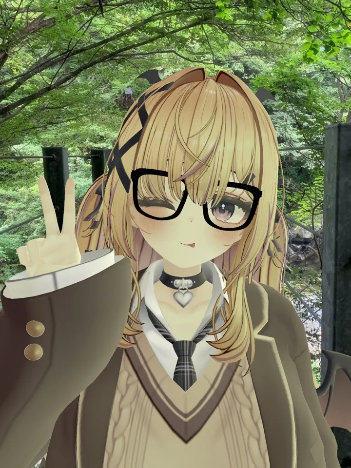 アクセサリ