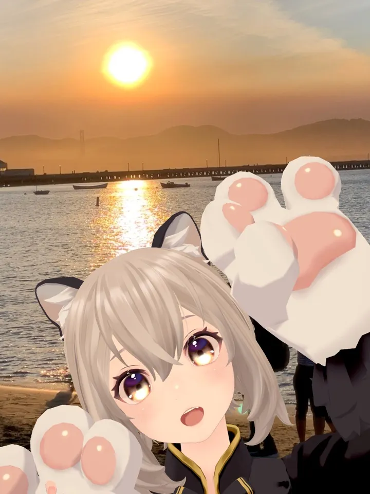 VCamカメラ