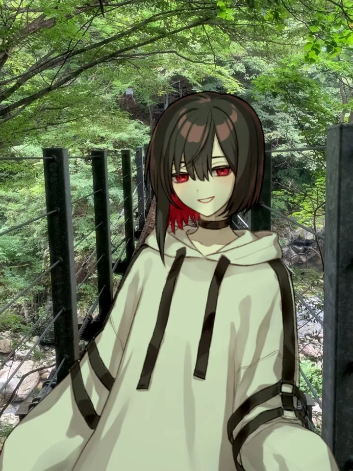 VCamカメラ