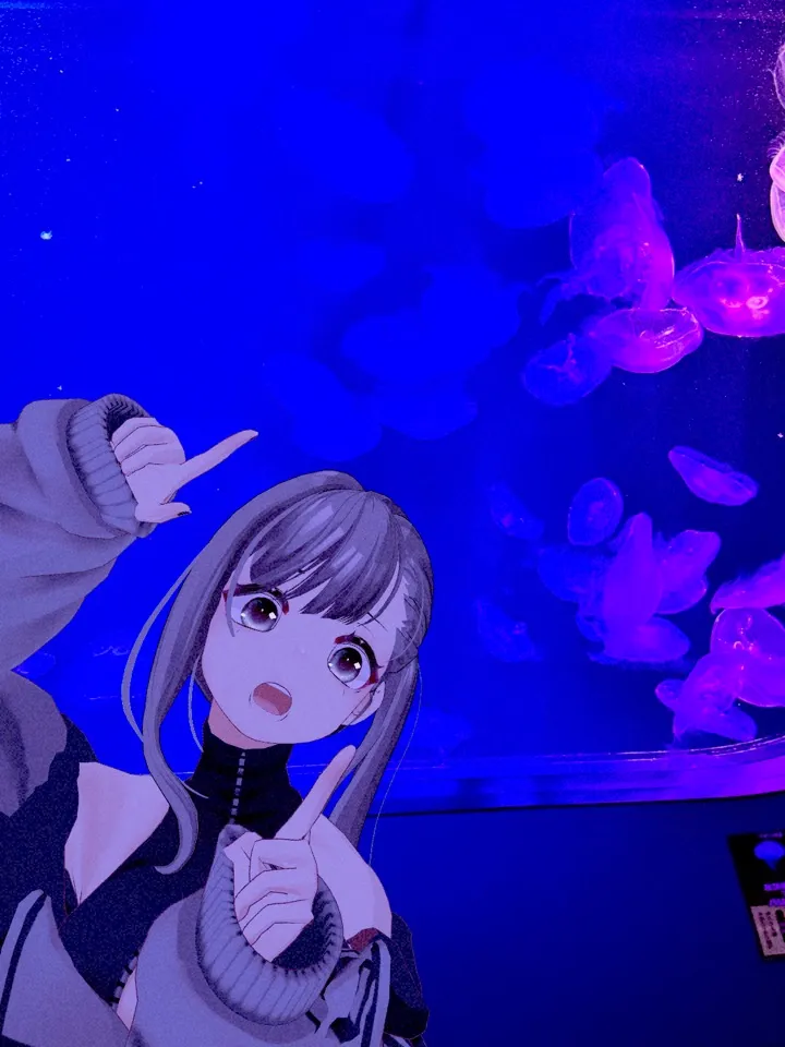 カメラスタイル