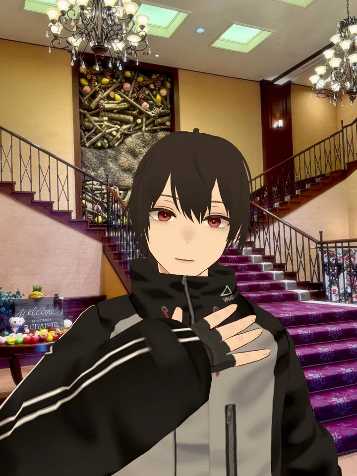 VCamカメラ